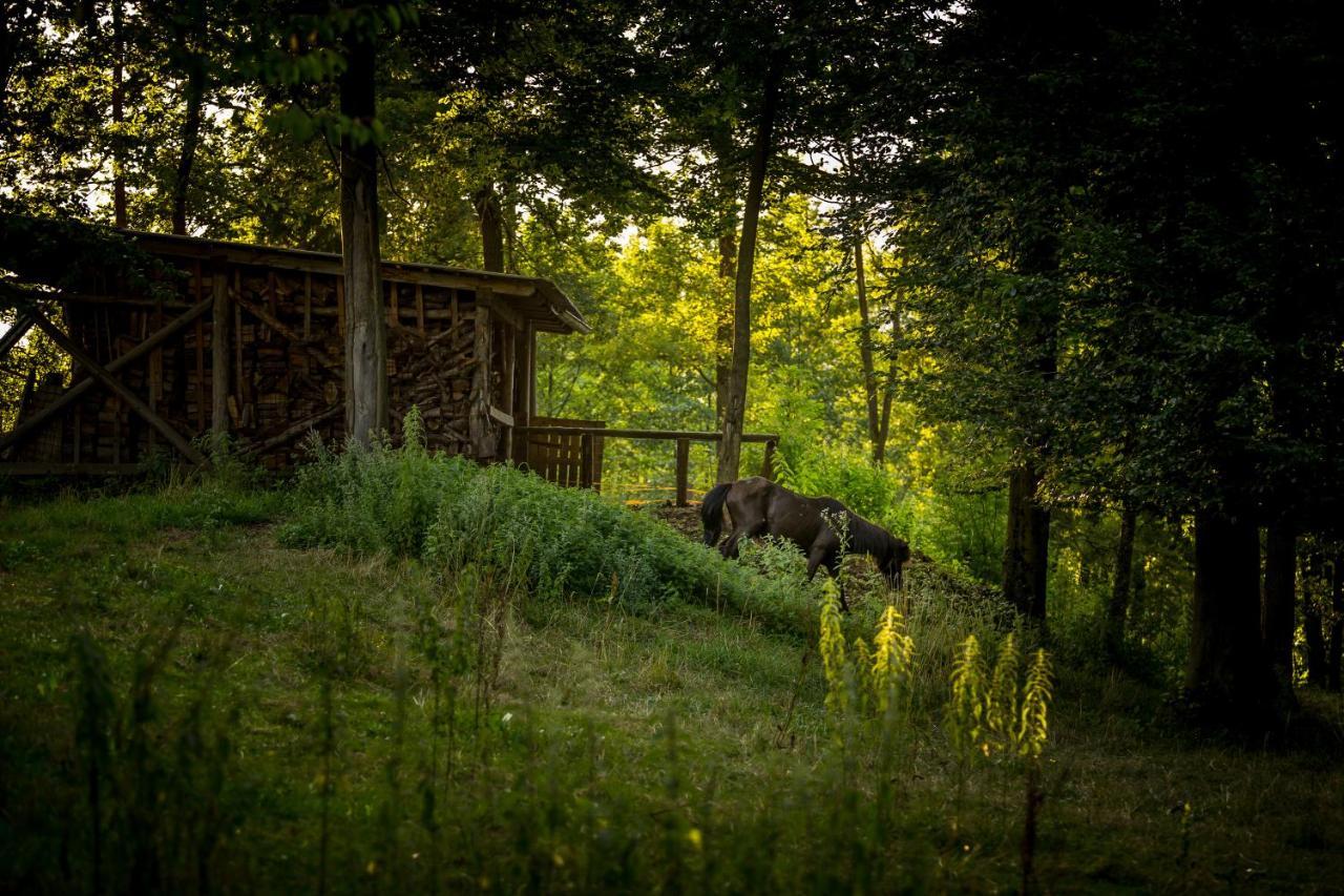Forest Camping Mozirje Exterior photo